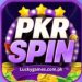 PKRSPIN Game APK