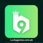 B9 Game Download